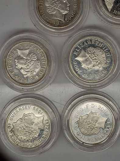 Great Britain Silver Proof 1984 1999 2007 2005 2004 2006 2003 1999 2002 1 Pound Silver Coins in Original Capsules
