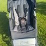 Mountain Buggy All-Terrain Pram Image 3