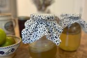 Organic kombucha scoby