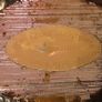 unusual vintage collectable Item's  ( 2 ) Image 9