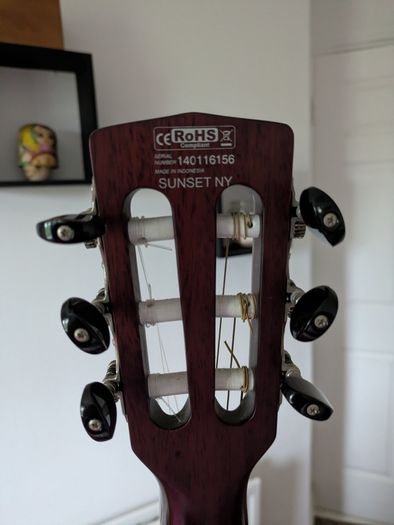 Cort Nylectric Guitar