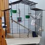 Bird Cage Image 2