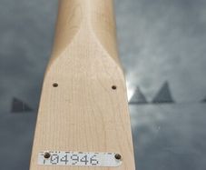 Telecaster Nitro Neck