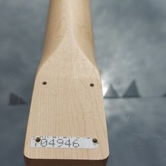 Telecaster Nitro Neck