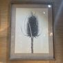 Framed Print Grove Home Image 2