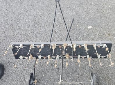 Tow behind lawn dethatcher