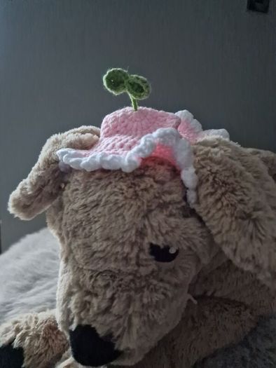 pet hat handmade