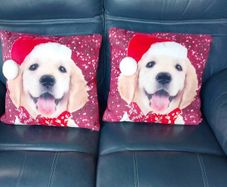 Cushions