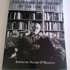 Essays on the poetry of Trevor Joyce Ireland Irish poet