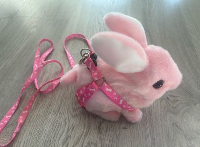 Walking rabbit