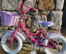 Raleigh Molli 14 "