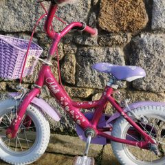 Raleigh Molli 14 "