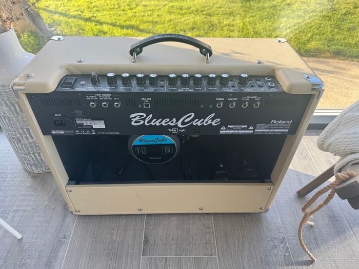 Roland Blues Cube Artist