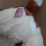New collectable beanie buddies dog with tag Image 5