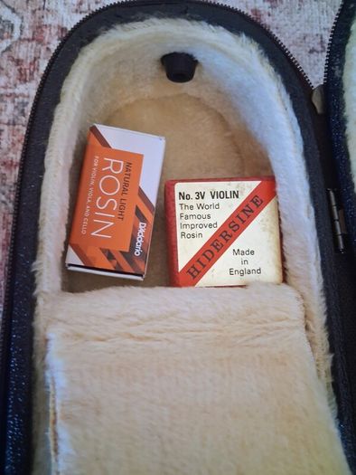 Violin