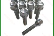 10 x New Extended Wheel Bolts (50mm) Citroen, Peugeot (T10) Delivery