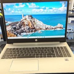 HP ProBook 450 G7 15.6" i5-10210U 2.11GHz (i5 10th Gen) 16GB 256GB SSD Windows 11 Pro UHD Graphics