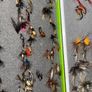 Fly Collection Image 5