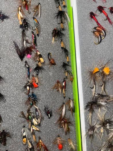 Fly Collection
