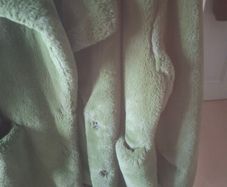 Pull and Bear coat