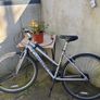 Silver Bike Image 2