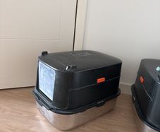 cat litter box