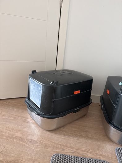 cat litter box