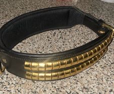 Dog Collar
