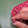 Rope Image 2
