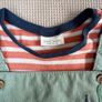 Next Sage Green Sea Life Dungarees & Bodysuit Set Size 6-9 Months 68cm Image 2