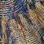 The Golden Trilogy, Industrial Relics (3-Piece Set, 2018) Image 3