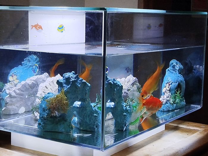 Fish tank