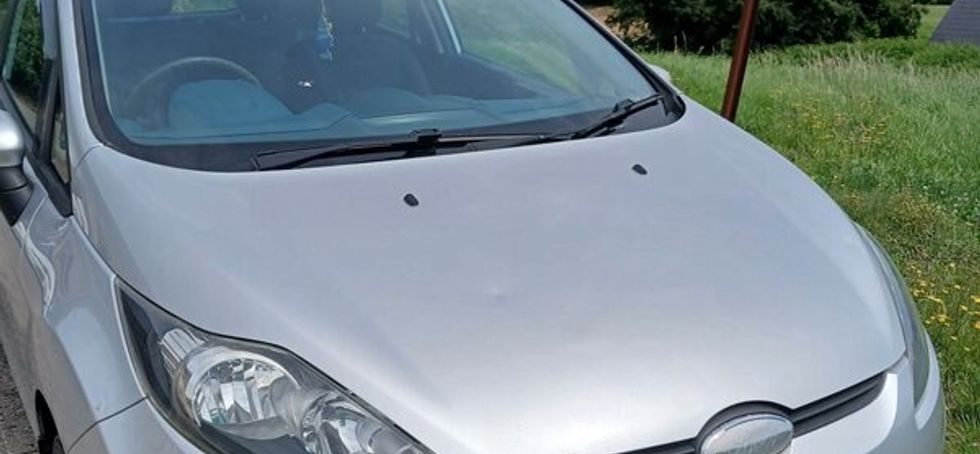Ford Fiesta 2010
