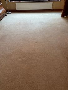 Large Premium Cream Wool Carpet