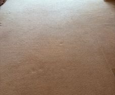 Large Premium Cream Wool Carpet