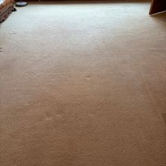 Large Premium Cream Wool Carpet