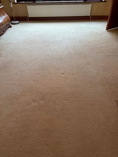 Large Premium Cream Wool Carpet
