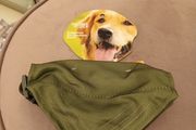 dogs reflective bandana with full collar