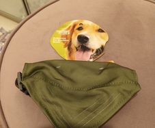 dogs reflective bandana with full collar