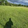 Silage Image 2