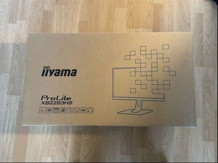 21.5" iiyama prolite Monitor