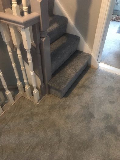 Carpet