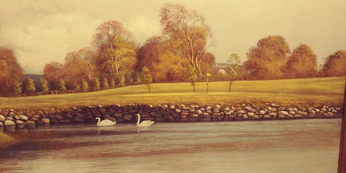 Beautiful original liam jones oil on canvas.
