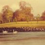 Beautiful original liam jones oil on canvas. Image 6