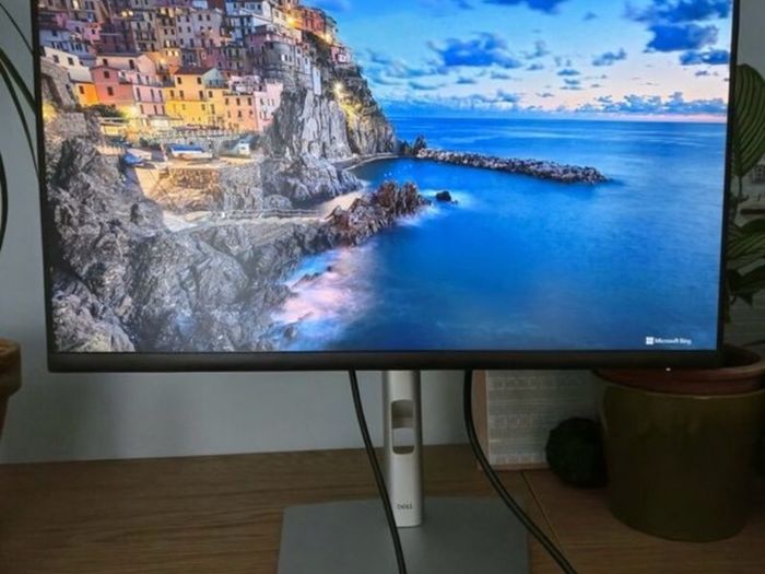 Dell 24inch monitor P2422h