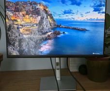 Dell 24inch monitor P2422h