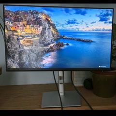 Dell 24inch monitor P2422h