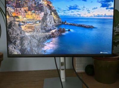 Dell 24inch monitor P2422h