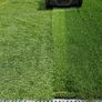 Artificial Grass Lawns in the South East Image 7