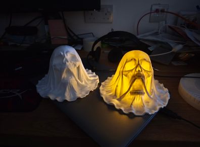 Covered Skull 3d printed Halloween model